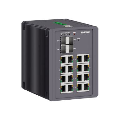 Коммутатор DKC N2000-4GX16GEPN-P1